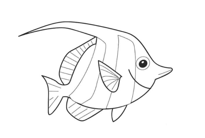 Tranh tô màu hình con cá đẹp dành cho bé từ 2 đến 5 tuổi - Mầm Non Ngôi Sao